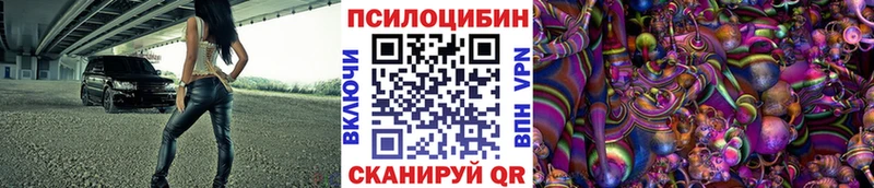 Галлюциногенные грибы Psilocybine cubensis  дарнет шоп  Верхний Тагил 